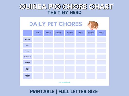 Guinea Pig Chore Chart