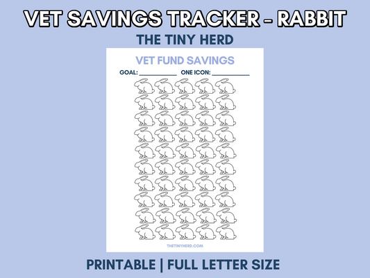 Rabbit Vet Savings Tracker