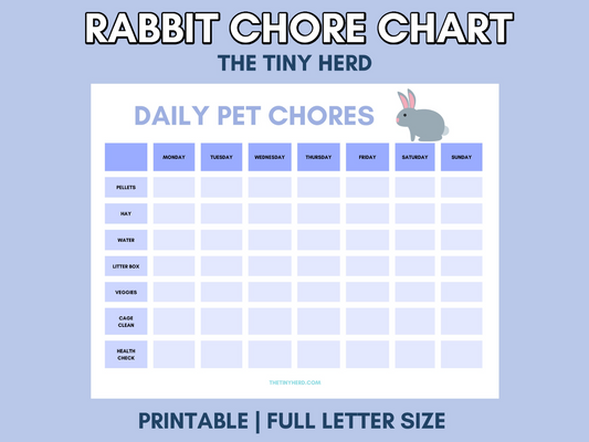Rabbit Chore Chart