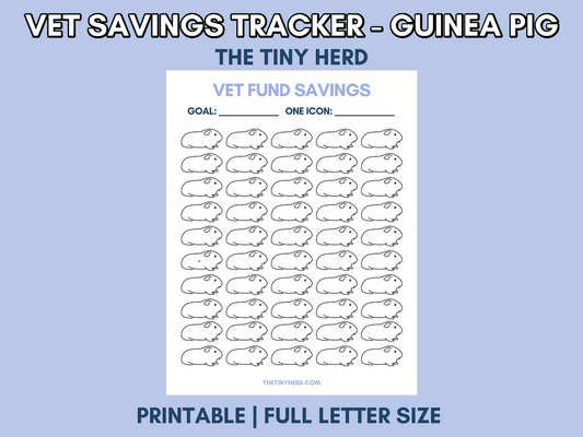 Guinea Pig Vet Savings Tracker